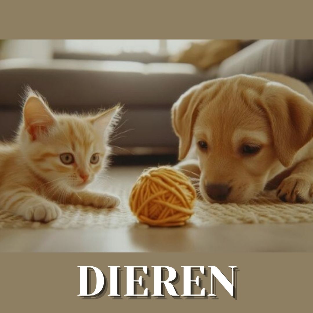 Blije huisdieren 🐾